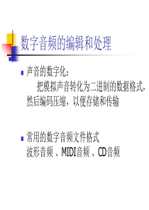 数字音频的编辑和处理