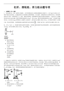 杠杆、滑轮组、浮力组合题专项