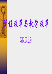 课程改革与教学改革(精)