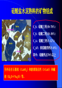 C3S水化特性