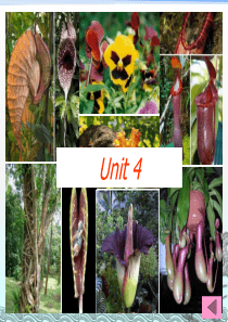 选修9 unit 4 Exploring plants 知识要点