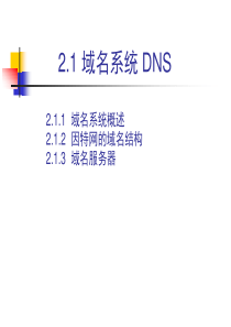 选修DNS域名解析网络操作系统