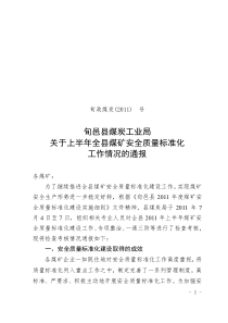 上半年全县煤矿安全质量标准化检查通报