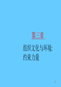 《管理学》罗宾斯版课件chap03