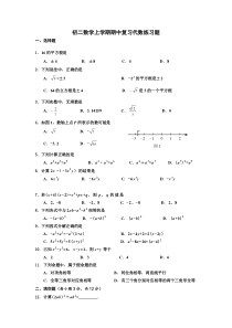 初二数学上学期期中复习代数练习题