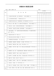 实验室6S检查记录表