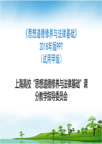 绪论――上海高校“思想道德修养与法律基础”课分教学指导委员会