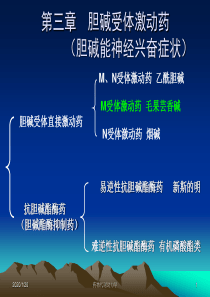 西医药理学第3章  胆碱受体激动药