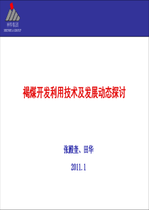 中国褐煤开发利用技术及发展动态探讨