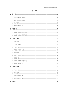 中型铜钼矿矿产资源利用方案(竖井开拓)