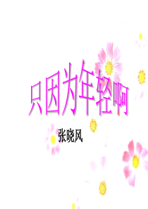 只因为年轻啊_正式[1] 2