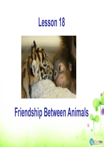 冀教英语八下Lesson18_Friendship_Between_Animals课件