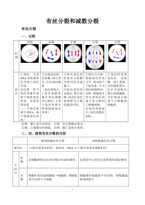 高中生物必修二有丝分裂-减数分裂总结知识点