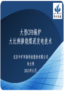 中矿环保-大型CFB锅炉大比例掺烧煤泥发电技术