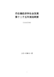 丹灶镇经济和社会发展“十二五”规划纲要