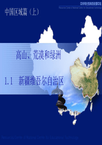 1.1 新疆维吾尔自治区