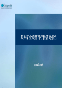 五矿有色参股辰州矿业项目可行性研究报告