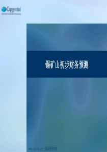 五矿有色收购锡矿山财务预测(PPT 36页)