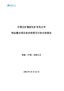 五矿有色钨整合项目初步投资可行性分析报告