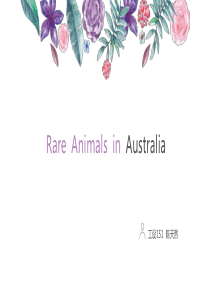 澳大利亚的稀有动物 Rare Animals Of Australia