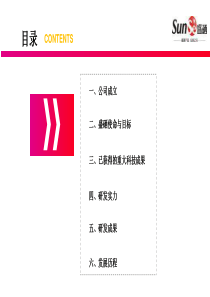 湖北盛硒生物科技有限公司公司简介