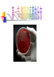 第一节细菌和真菌的分布2013.10