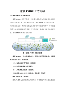 兼氧FMBR工艺介绍-1