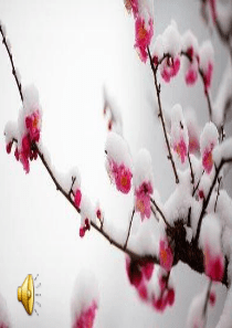 《下雪的早晨》课件