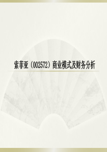 索菲亚衣柜的商业模式演示ppt