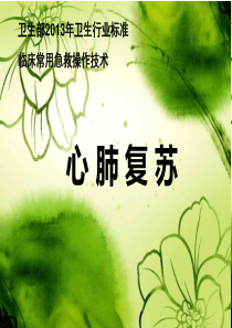 2013心肺复苏指南_ppt