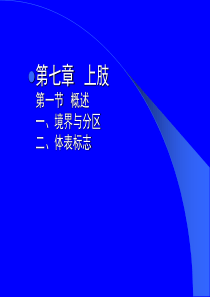 第七章 上肢第一节 概述一、境界与分区二、体表标志