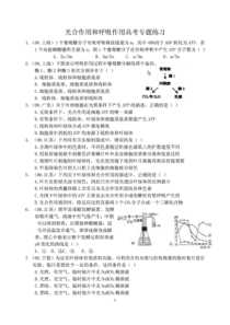 光合作用和呼吸作用练习题