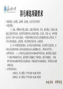 羽毛球运动概述