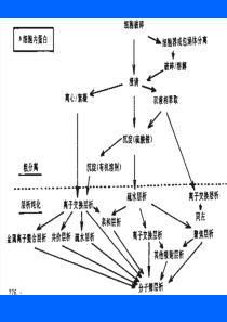 第二章-细胞的分离与破碎-1