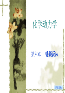 第六章 链反应1