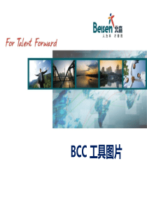 BCC工具图片新 生涯教练