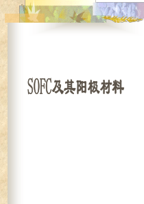 新能源材料-SOFC 固体氧化燃料电池-董德华