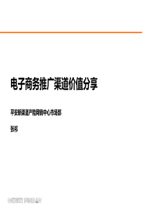 张祁：电子商务推广渠道价值分享