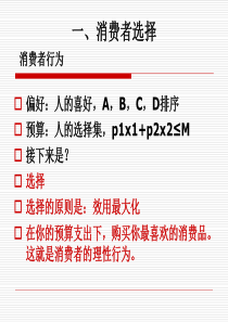 宏微观经济专题第一讲第二章选择与效用最大化