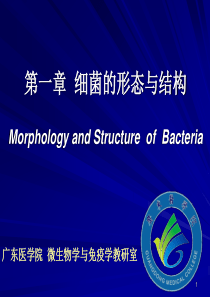 医学微生物学细菌形态结构