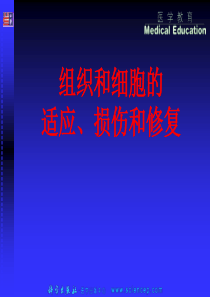 第2章细胞和组织的适应、损伤和修复病理学基础教学课件