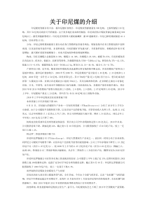 关于印尼煤的介绍