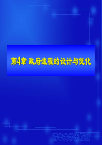 政府流程的设计与优化资料