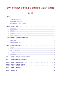 辽宁省移动通信有限公司薪酬方案设计研究报告