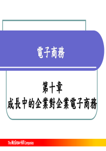 成长中的企业对企业电子商务