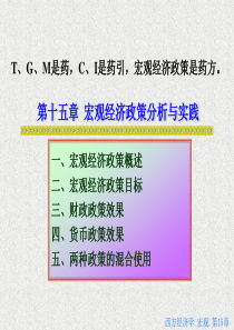 宏观经济学第十五十六章 宏观经济政策分析与实践