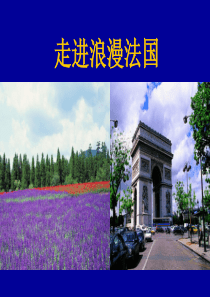 法国概况及其旅游景点.答案