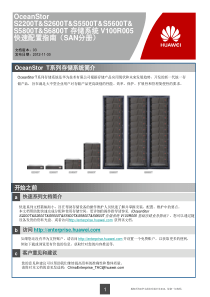 华为存储S5800T快速配置指南