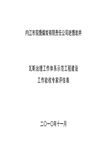 内江市双鹰煤炭有限责任公司老鹰岩井瓦斯治理专家评估