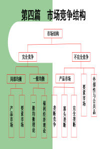 微观经济学(第四版) 李明志 黎诣远 第四篇-第九章  完全竞争市场